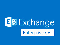 Exchange Server Enterprise 2019 CAL